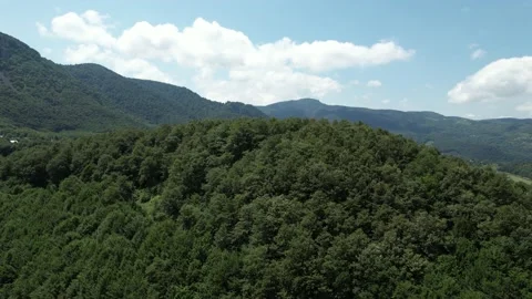 Aerial forest hill Video stock 203848842