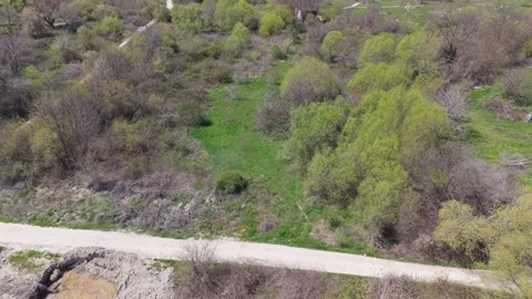Aerial Forest Landscape Featuring Green Meadow 库存影片 332939043