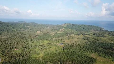 Aerial forest landscape Stock Footage 90996475