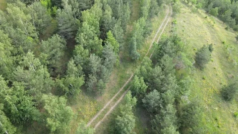Aerial forest landscape Stock Footage 240739998