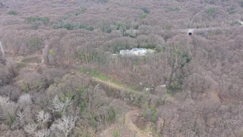 Aerial forest landscape with trees textures and calm natural scenery Video stock 332773569