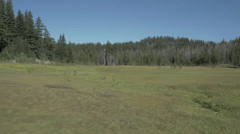  Aerial of Forest Meadow/Low Fly Stock Footage 41512689
