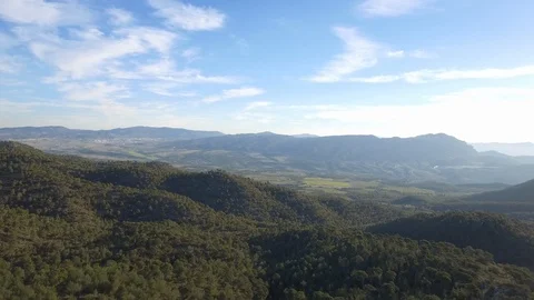 Aerial forest - Mediterranean pine forest Stock Footage 121876482