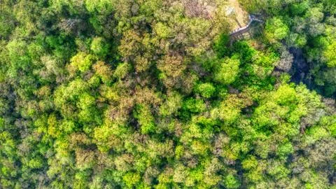 Aerial of a forest with a memorial on the side in the north of Serbia in Fruk Stock Photos