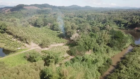 Aerial Forest Mountain Stock Footage 84594328