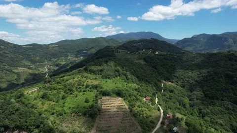 Aerial forest mountain Stock Footage 219283475