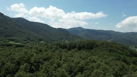 Aerial forest mountains Stock Footage 218023201