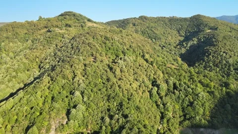Aerial forest mountains Stock Footage 240787946