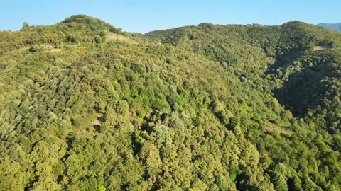 Aerial forest nature Video stock 240788001