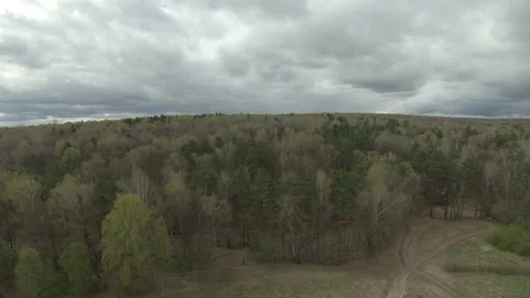 Aerial of a forest in an overcast day Stock-Footage 232845052