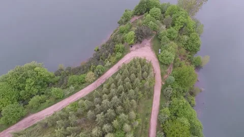 Aerial forest path Stock Footage 196025749