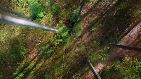 Aerial Forest Path with Sunlight. Stock Footage 306647752