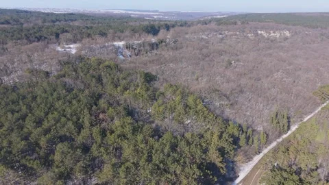 Aerial Forest Path Winding Through Bare Trees in Spring Stock Footage 327351804