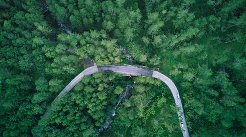 Aerial forest  Stock Photos
