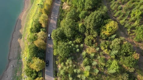 Aerial forest road Stock Footage 219099325