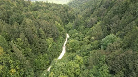 Aerial forest road Stock Footage 219103643