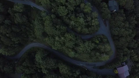 Aerial Forest Road through Trees Video stock 119832517