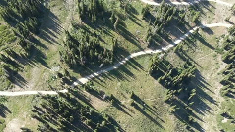 Aerial Forest scene Vidéo 235873473