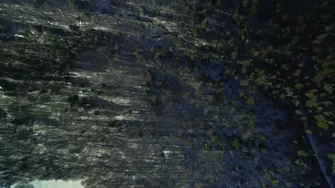 Aerial forest shot Stock Footage 172264416