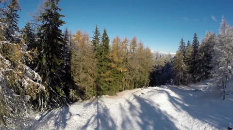Aerial-forest-snow Stock Footage 36557920