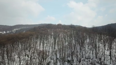 Aerial - forest with the snow Stock-Footage 104004996