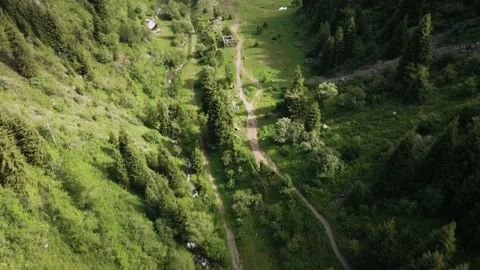 Aerial Forest spruce in the mountain of Almaty Stock Footage 196377341