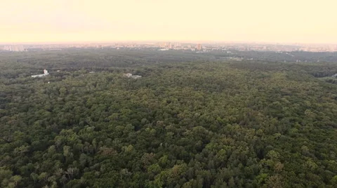 Aerial Forest Sunset Stock Footage 64735914