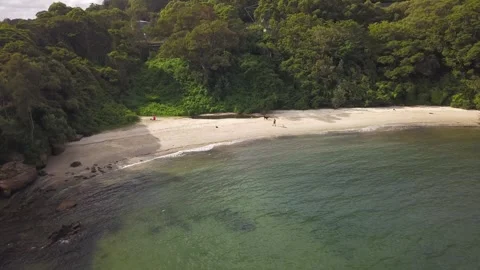 Aerial forest surrounding secluded beach in Sydney 4K Stock Footage 276201314