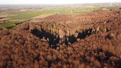 Aerial Forest Swathe Stock Footage 126944348