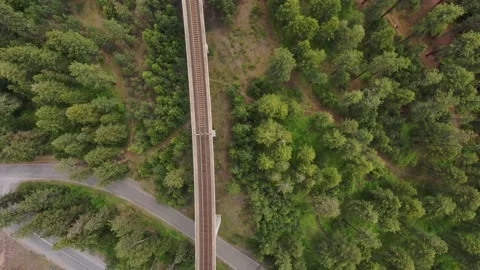 Aerial Forest Tracks Stock Footage 215023490