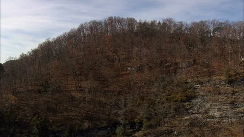 Aerial of forest trees on the mountain cliff, Bare trees, South Carolina Vidéo 109141402