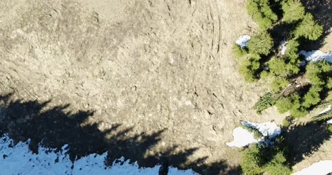 Aerial forest, Trees seen from top down view. Flying above treetops Stock-Footage 132024537