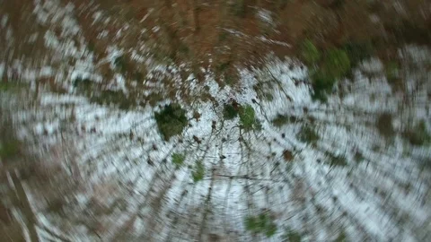 Aerial of Forest Trees in the Winter Top Down Spin Stock Footage 88671668