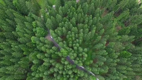 Aerial forest view at summer time with good weather Stock Footage 150177863