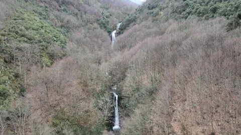 Aerial forest waterfall 스톡 동영상 263768443