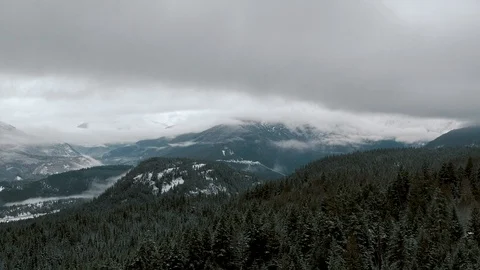 Aerial of forest in winter Stock Footage 102206604