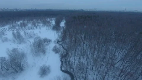 Aerial of forest in Winter. Stock-Footage 232935262