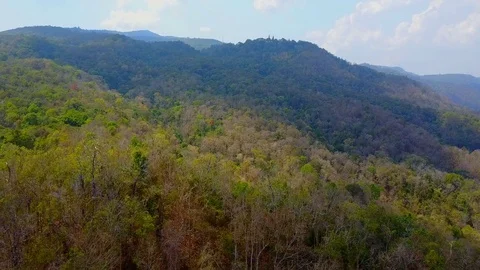 Aerial Forested hills Stock Footage 77698649