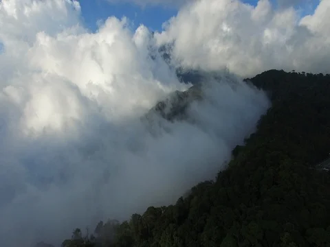 Aerial of forested mountain and clouds, static shot, South East Asia Stock Footage 81336741