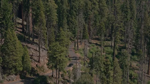 Aerial Forested Mountainside Stock Footage 342735135