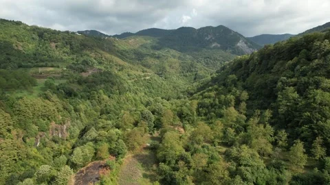 Aerial forested valley Stock Footage 255610697