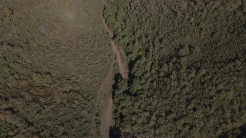 Aerial forests Stock Footage 141057428