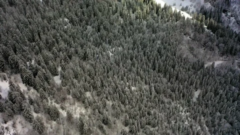 Aerial Forward Beautiful Shot Of Trees In Forest On Snow Covered Landscape - Stock Footage 167846833