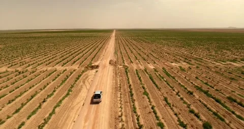 Aerial Forward Beautiful View Of Pull Up Truck Moving In Field On Sunny Day - Stock Footage 185446636