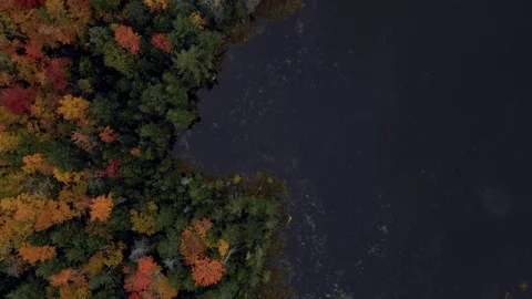 Aerial Forward of Brightly Colored Forest By Dark Blue Lake - Dixville Notch, Stock Footage 114060655