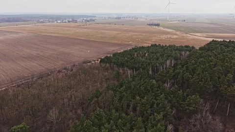 Aerial forward drone shot of winter fields and pine forest in Poland Stock Footage 335052606
