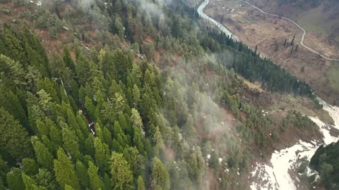 Aerial forward flight and tilt up revealing snowy pine forest in Gulmarg mist. Видео 333801249