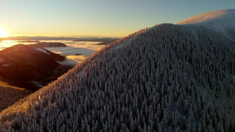 Aerial forward flight orbiting snow-capped forest above cloud inversion Video stock 323313005