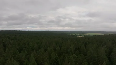 Aerial forward flight over cloudy forest Stock Footage 263263177