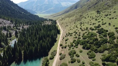 Aerial Forward Flight over Empty Mountain Road Between Forest and Hill Video stock 332010351